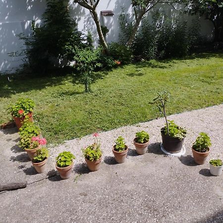 Paprika Vendeghaz Hotel Harkany Luaran gambar