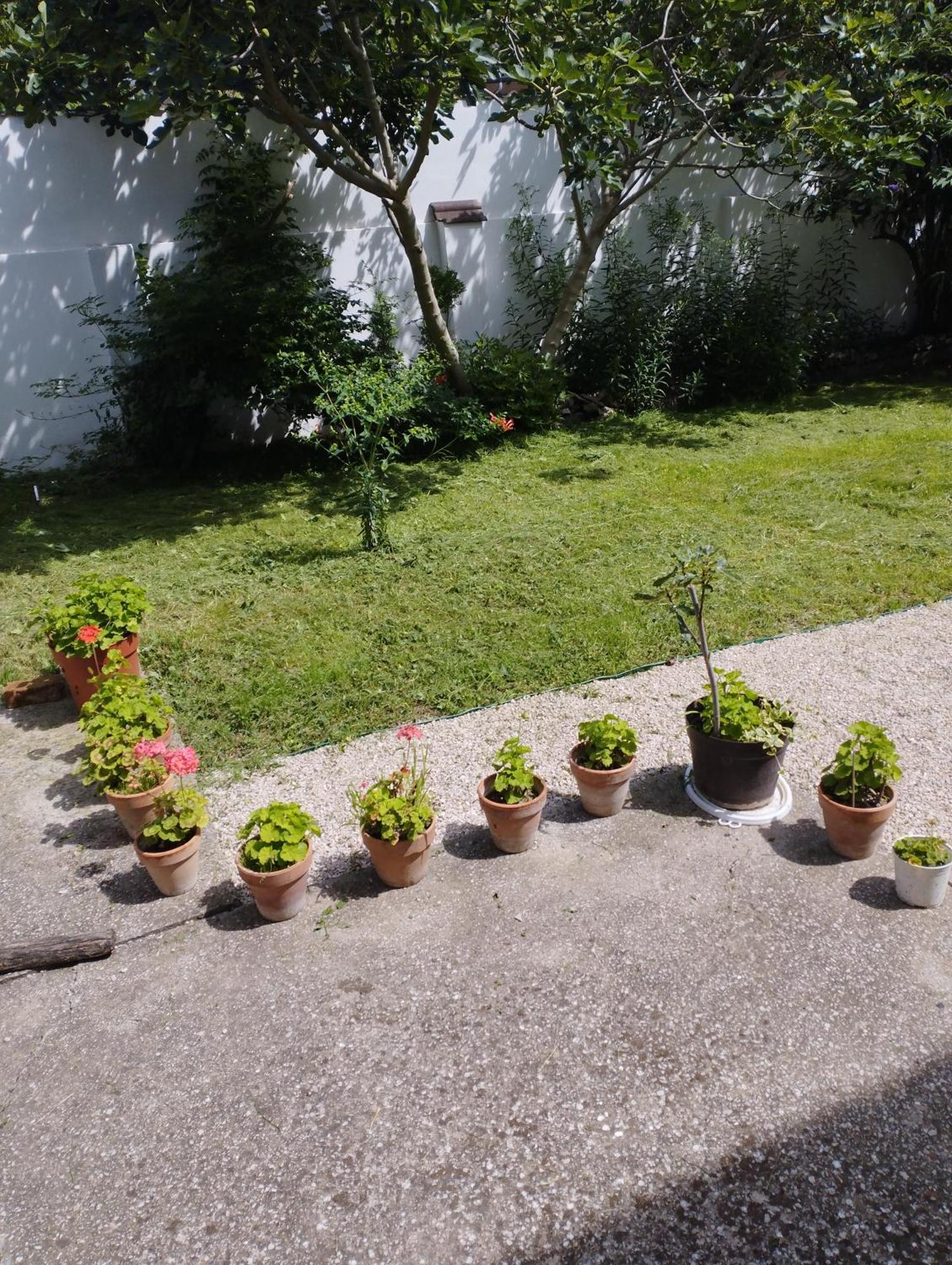 Paprika Vendeghaz Hotel Harkany Luaran gambar